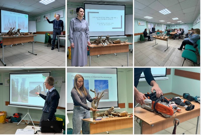 17.03 Семинар по обрезке 2