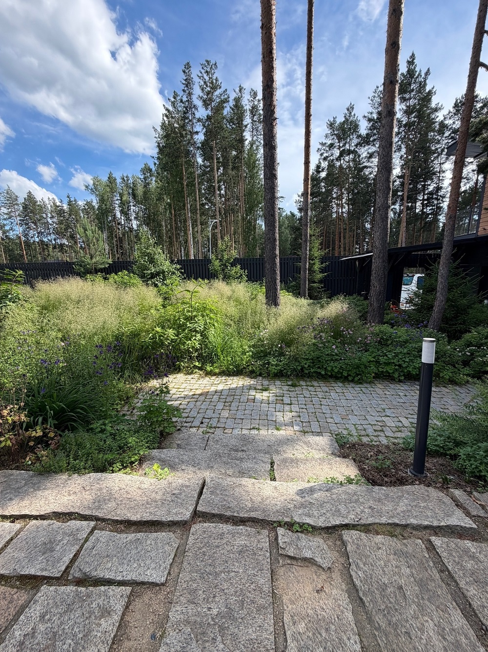 18 июня Сергеевы 4